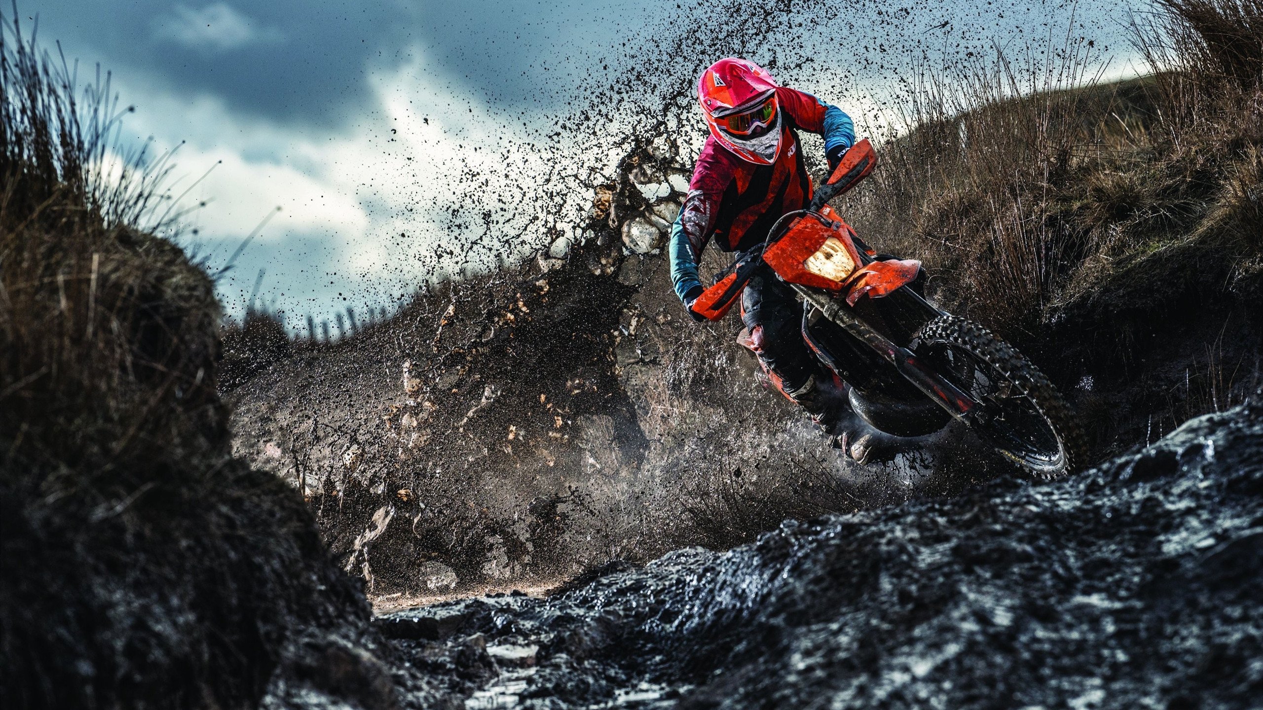 开云体育app-“南非羚羊队的前景广阔：萨尔·巴赫是关键”