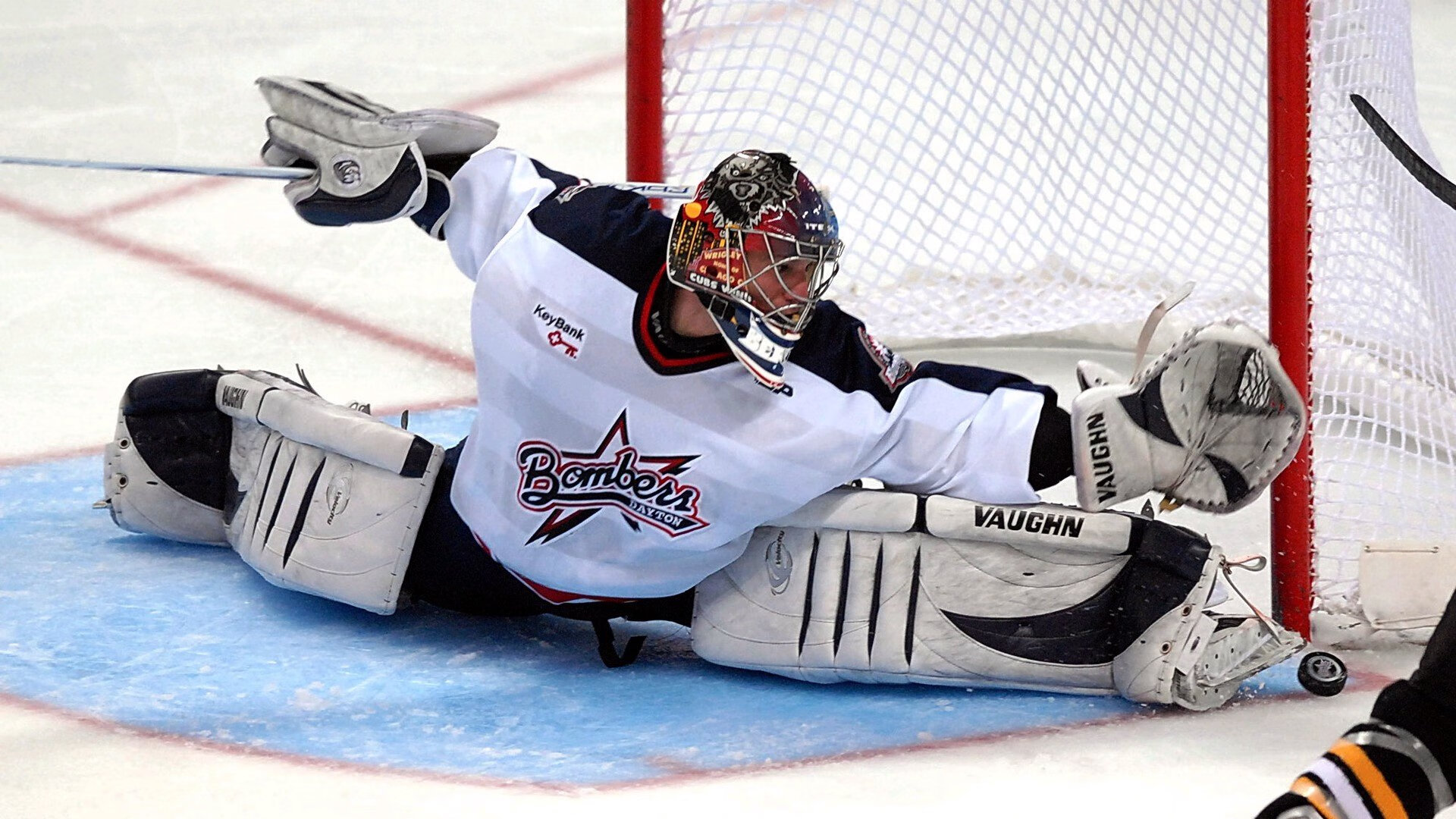 “南非羚羊队的新领袖：埃尔斯·霍斯特的崭露头角”