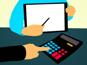 开云体育官方网站-青少年篮球人才培养机制不断创新推动多元化发展，青少年篮球技术训练内容与要素分析